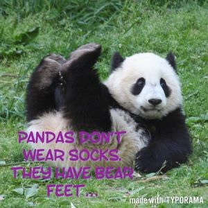 Jackets & Coats - Because Pandas... Jackets & Coats - Because Pandas...